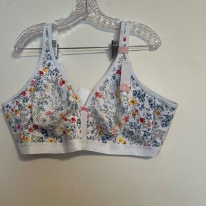 Cacique Multicolor Floral Women's Bra